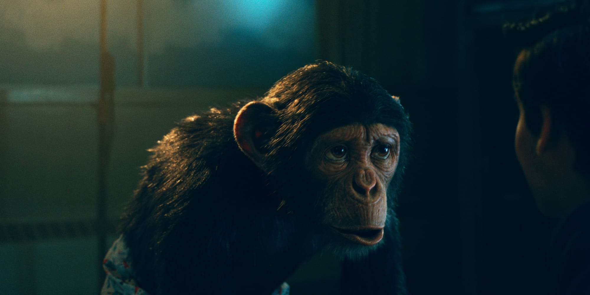 Adam Godley as Pogo in 'The Umbrella Academy' Season 2