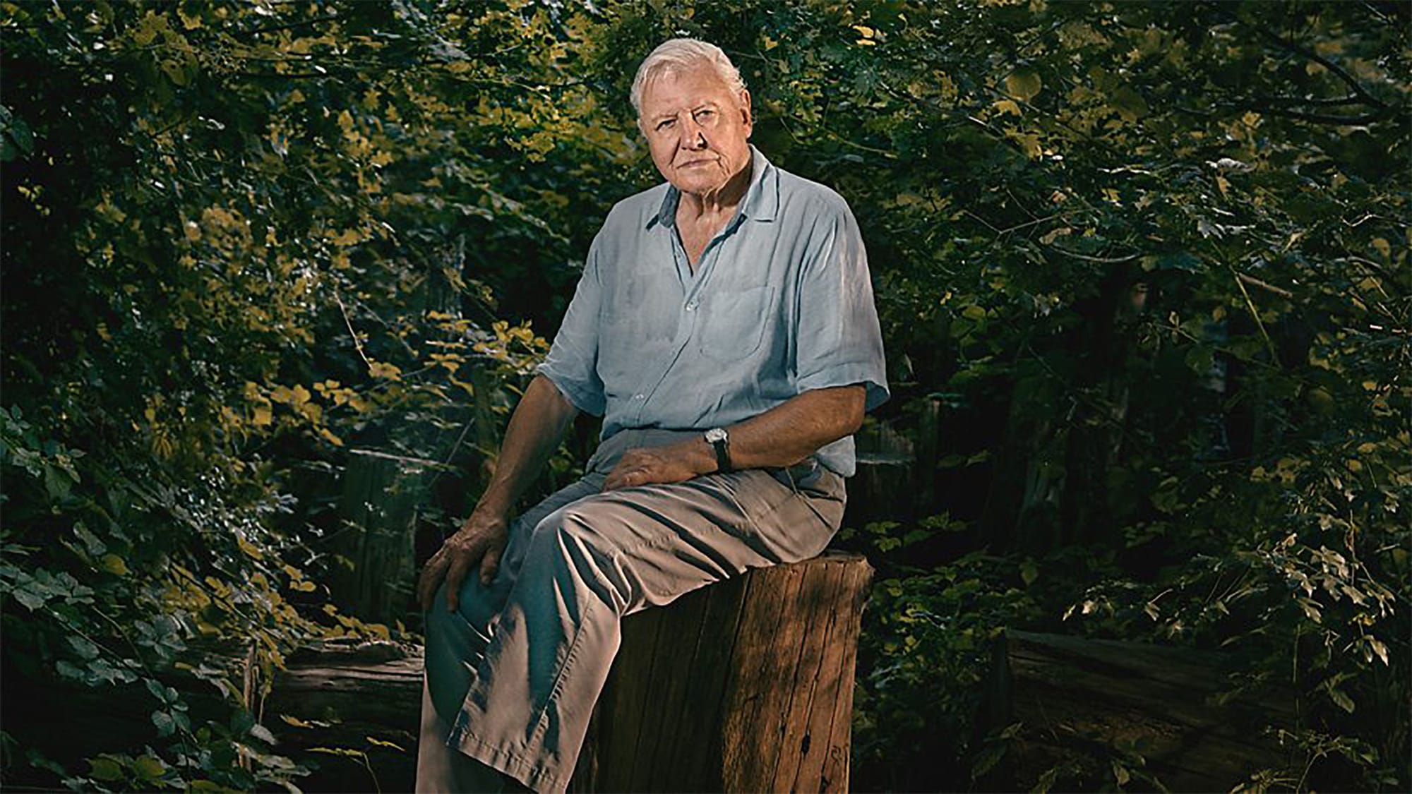 David Attenborough in his new series, 'Asia'