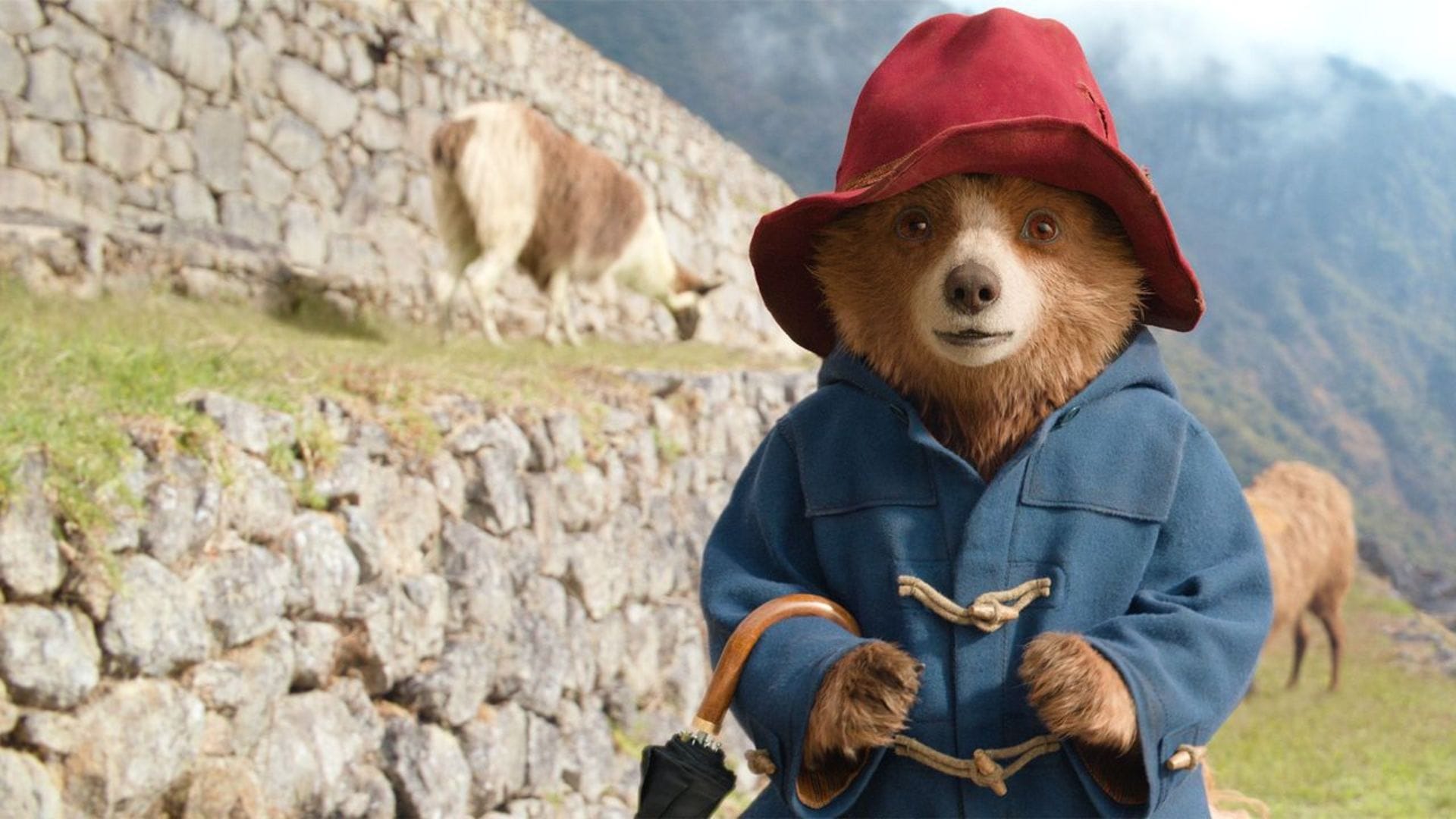 Paddington Bear in 'Paddington in Peru'