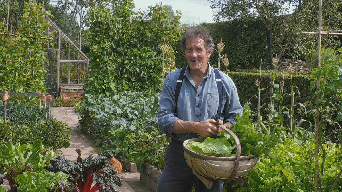 All-British FAST Channels Launch on Amazon FreeVee