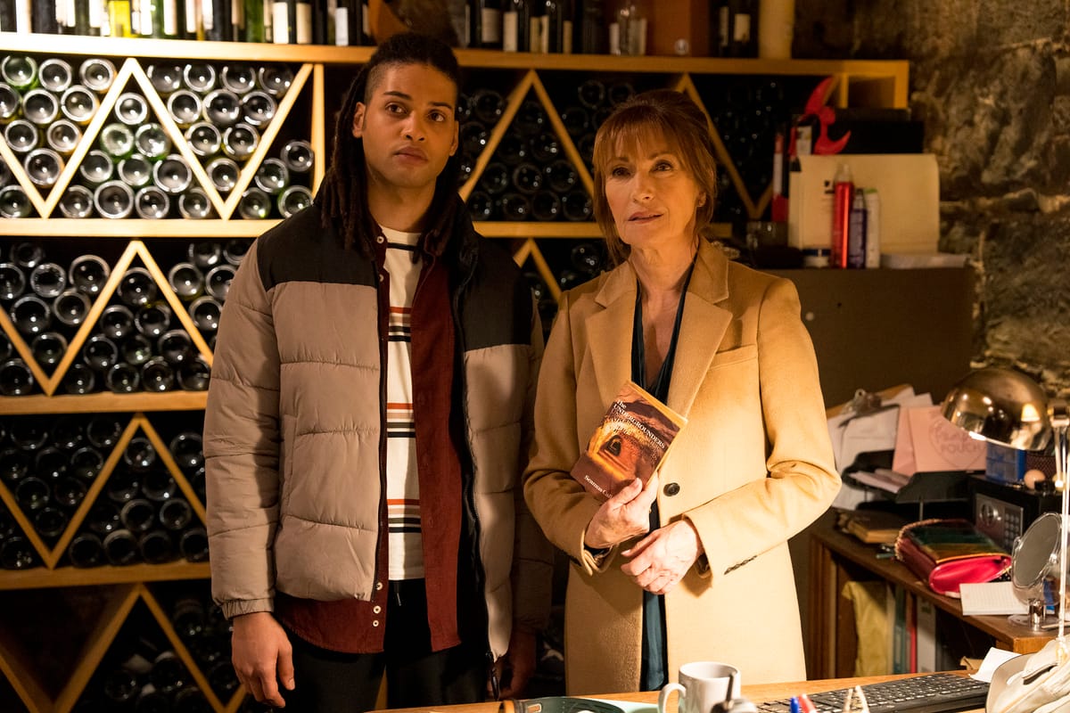 ‘Harry Wild’ Season 3 Puts the Central Characters First