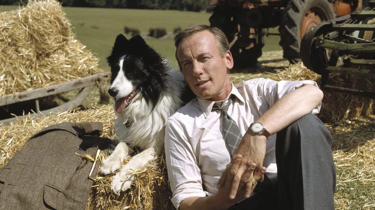 'All Creatures Great and Small': How a Long-Running TV Series Endeared Itself to the British Public