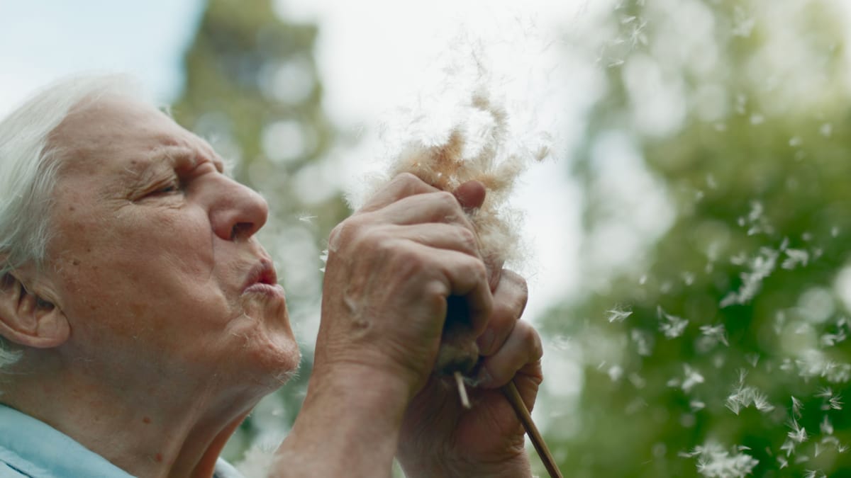 6 David Attenborough Nature Series You Have To Watch