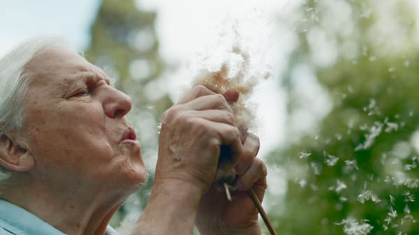 6 David Attenborough Nature Series You Have To Watch