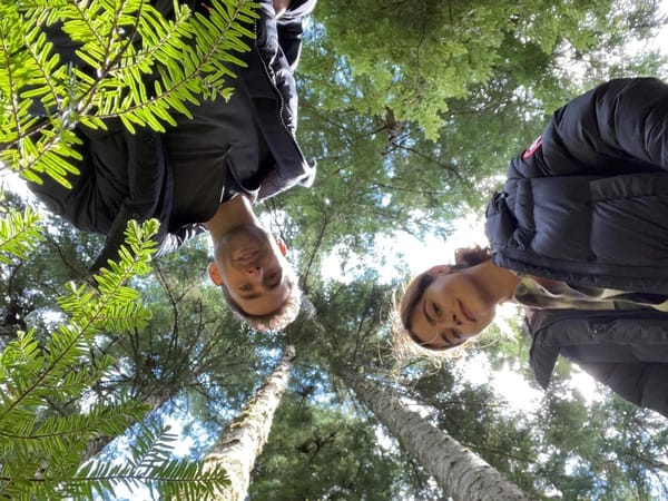 Jenna Coleman and Oliver Jackson-Cohen to Star in Prime Video Thriller 'Wilderness'